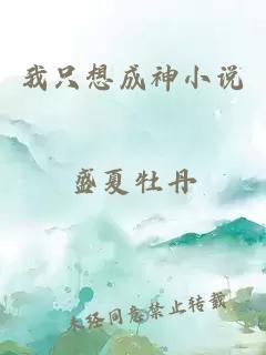 我只想成神小說(shuō)