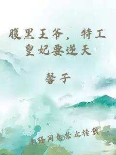 腹黑王爺，特工皇妃要逆天